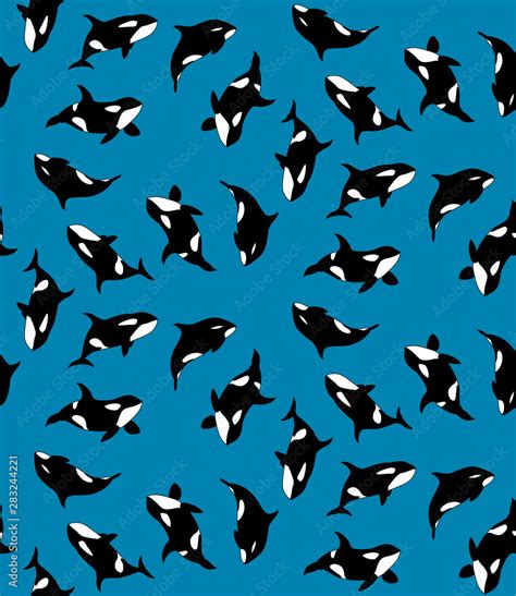 Vector seamless pattern of hand drawn killer whale swimming on blue background. Texture with ...