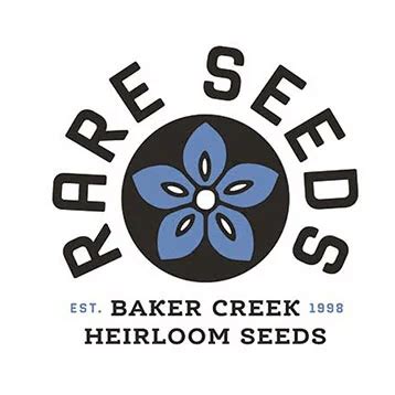 Black Goji Berry (Wolfberry) Seeds | Baker Creek Seeds