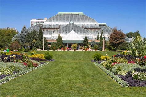 Public Art in Chicago: Lincoln Park Conservatory: Temporary Exhibit [Form in Flora III - Various ...