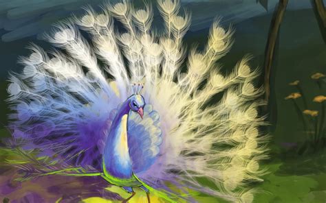 White Peacock Wallpaper - WallpaperSafari