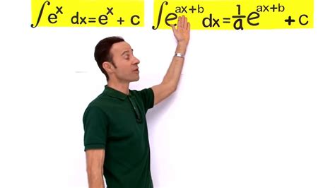 Antiderivative of an Exponential Function #4 | VividMath — US..