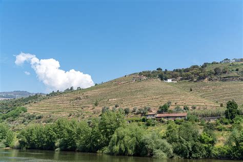 Douro River Cruise (Cruzeiro no Rio Douro)