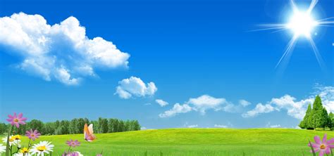 Blue Sky, Green Grass, Flowers, and Butterflies