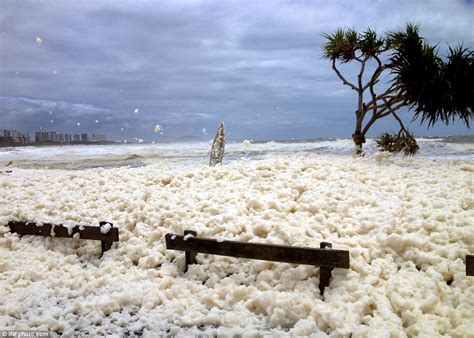 Australia floods: Entire towns lie submerged under FOUR FEET of sea foam along east coast ...