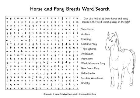 Horse and Pony Breeds Word Search