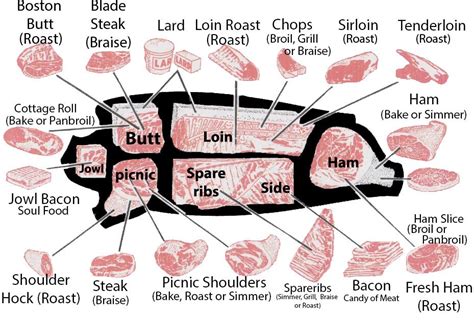 pork cuts - Google Search | Pork sirloin, Pig meat, Pork