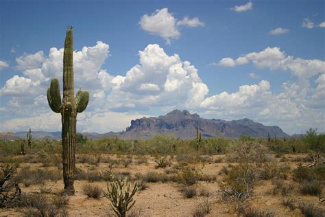 Desert Landscape Photograph by Vlynder - Fine Art America