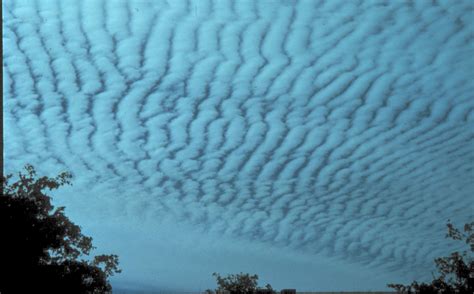 Altocumulus Clouds