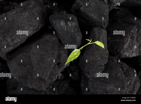 coal environmental pollution Stock Photo - Alamy