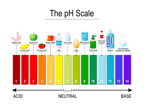 What Is Your Ph Level Mean - Templates Printable Free