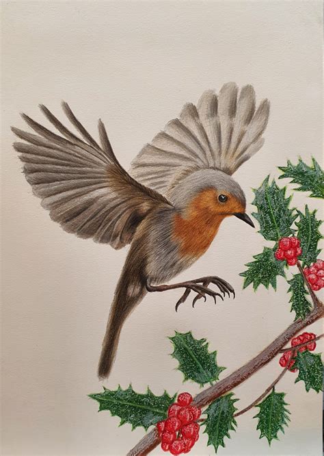 Christmas Robin Drawing by James Carter Art | Robin drawing, Bird drawings, Nature art drawings