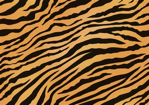 Tiger Pattern Vector Art, Icons, and Graphics for Free Download