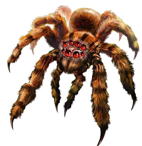 Fantasy Creature Art, Fantasy Creatures, Fantasy Art, Giant Spider, Spider Art, Fantasy Monster ...