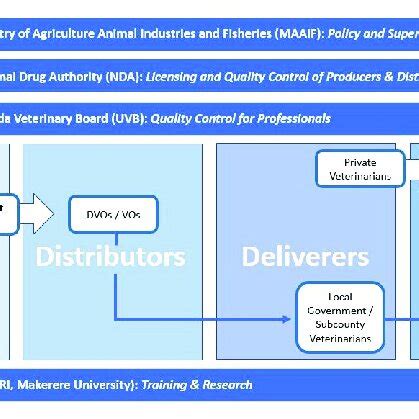 Typical government-led PPR vaccine value chain.... | Download Scientific Diagram