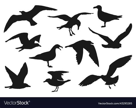 Set of silhouette of flying seagulls hand drawn Vector Image