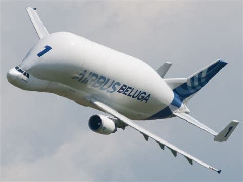 Airbus Beluga - Wikiwand