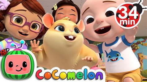 Class Pet Song | + More Nursery Rhymes & Kids Songs - CoCoMelon