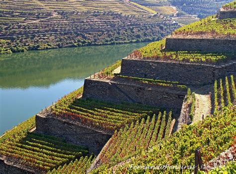 Fernando Peneiras - fotografia: Alto Douro Vinhateiro