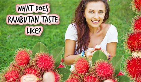 What Does Rambutan Taste Like & How To Eat This Fruit – Detailed Variety Tables ...