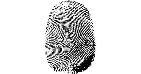 Your Fingerprints Reveal This About Your Personality