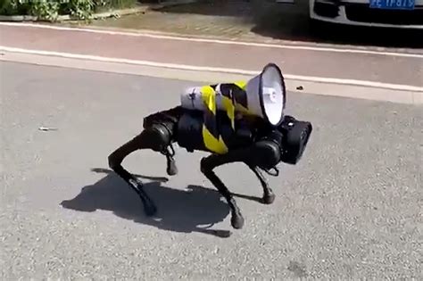 Robot dog with loudspeaker barks COVID instructions in China