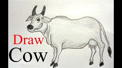 How To Draw A Cow