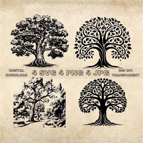 Oak Tree SVG Bundle, PNG, Oak Trees Clipart, Hand Drawn Tree Vector Graphic Illustration, SVG ...