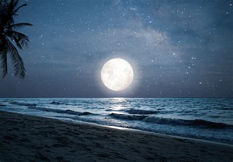 Beautiful moonlight over ocean full moon night sky wall mural - TenStickers