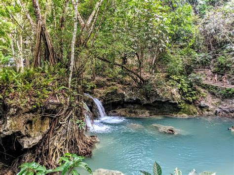 Kawasan Falls | Entrance Fee, Opening Hours & More