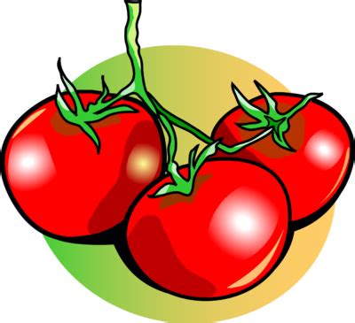 Tomatoe clipart 20 free Cliparts | Download images on Clipground 2024