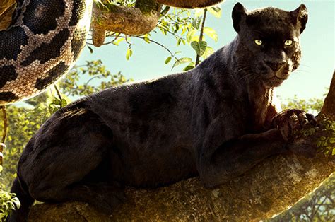 Bagheera (2016) | Jungle Book Wiki | Fandom