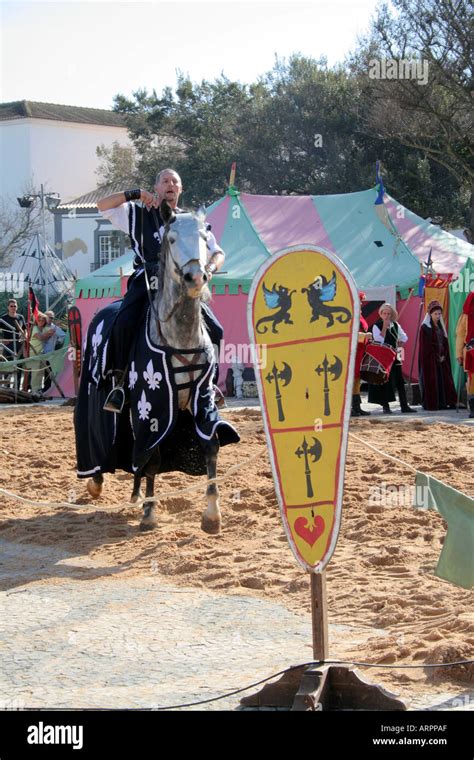 Lusitanian Horse Show knight charging in Medieval costume at Historic ...