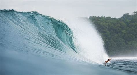 Ocean Surfing: Understanding the Different Types of Ocean Waves