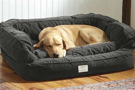 Sleep like a Giant: Top 10 Dog Beds for Your Big Best Friend - Furry Folly