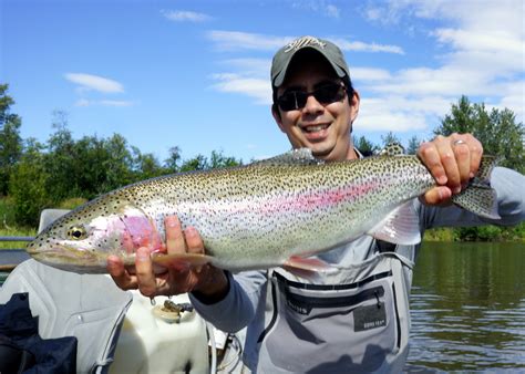 How to Catch Rainbow Trout - Tips for Fishing for Rainbow Trout