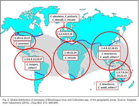 Bluetongue virus