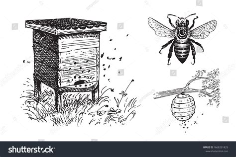 4,633 Bee Hive Sketch Images, Stock Photos & Vectors | Shutterstock