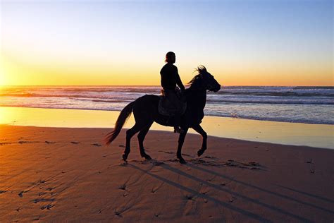 Horse riding on the beach at sunset Photograph by Nisangha Ji - Fine ...