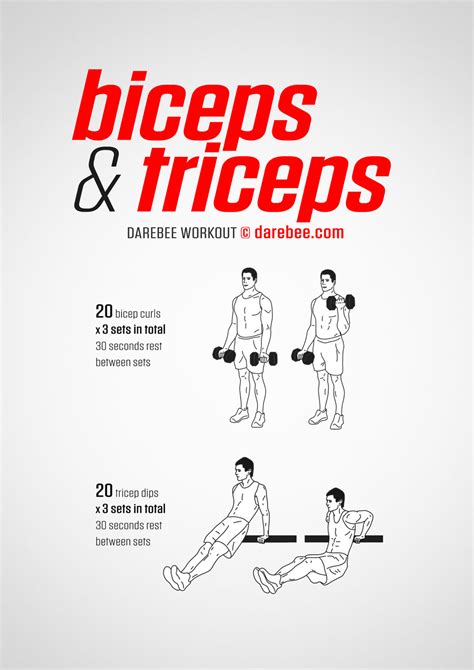 Bicep & Triceps Workout