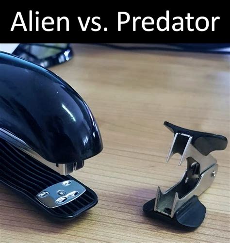 Alien Vs Predator Meme