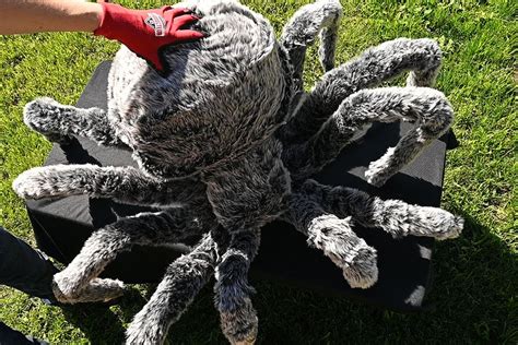 How To Make Giant Halloween Spiders / Diy Giant Spider Decorations Spider Outdoor Halloween ...