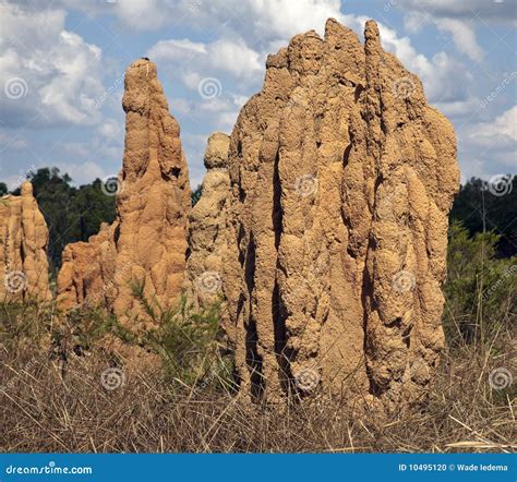 Giant Termite Mounds,Ant Hills, Northern Territory Stock Photo - Image: 10495120