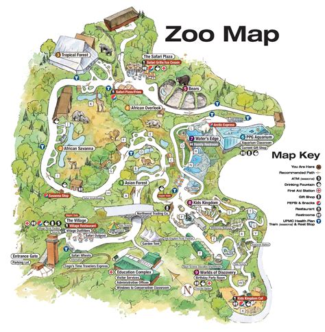 View 15 Phoenix Zoo Map - biffinrupic