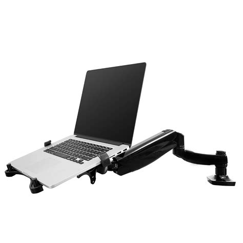 Buy FLEXIS 2-in-1 Monitor Arm Laptop Stand Swivel Spring LCD Arm Height ...