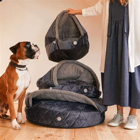 The Best Canopy Dog Beds for Style and Comfort - PuppyLists