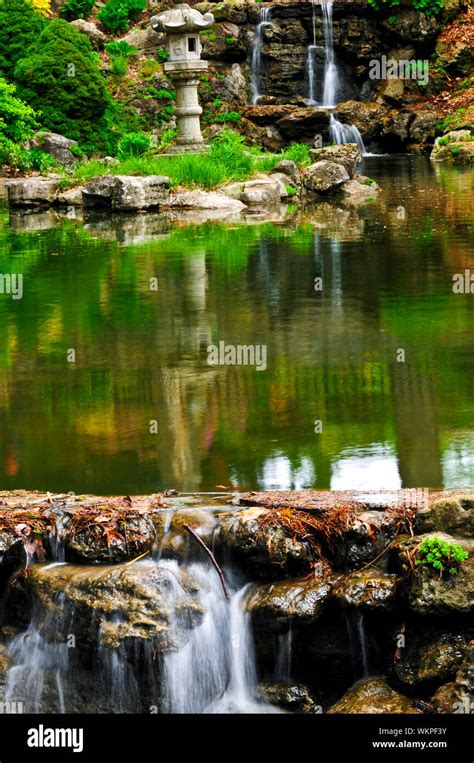 Cascading waterfall and pond in japanese garden Stock Photo - Alamy