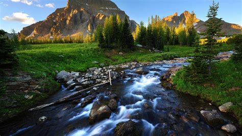 Beautiful River HD 1080p Wallpapers Download HD Wallpapers | Landscape wallpaper, Landscape ...