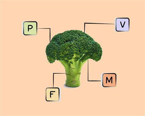 Broccoli Nutrients