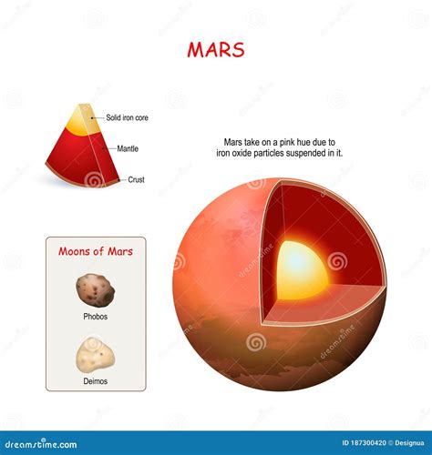 Mars Internal Structure. Cross Section of Planet Stock Vector - Illustration of education ...