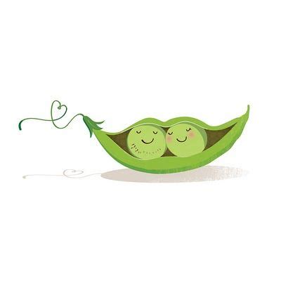 Pea Pod Drawing at GetDrawings | Free download